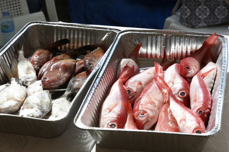 En Visita Sorpresa a pescadores de La Romana, Danilo Medina dispone donación 30 embarcaciones y camión refrigerado modernizarán pesca