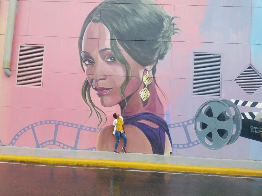Arte urbano y cultura remozan a Santiago; "la ciudad que más palpita", entre murales y esplendor