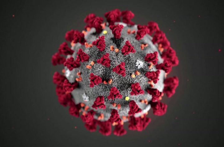 El virus que entró en España no es el mismo que salió de Wuhan: lo que revela su genoma