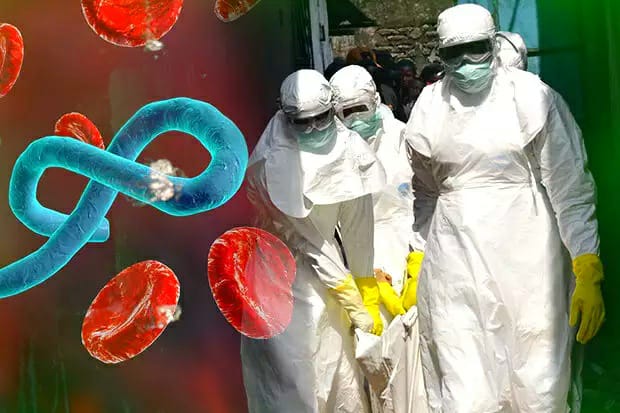 La OMS prolonga la alerta de emergencia sanitaria internacional por el brote de ébola en RDC
