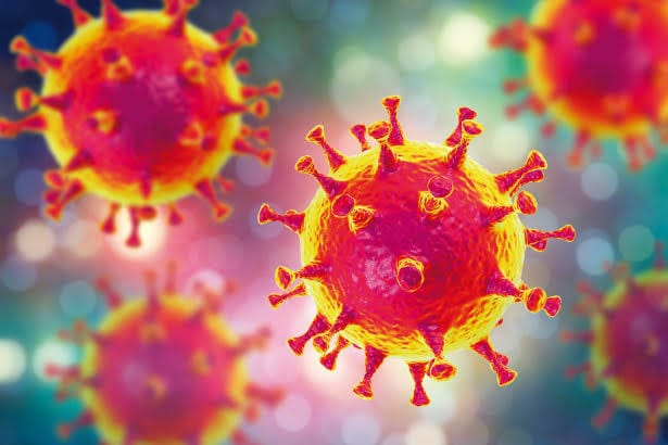 Científicos descubren que el nuevo coronavirus puede sobrevivir incluso a más de 60 grados