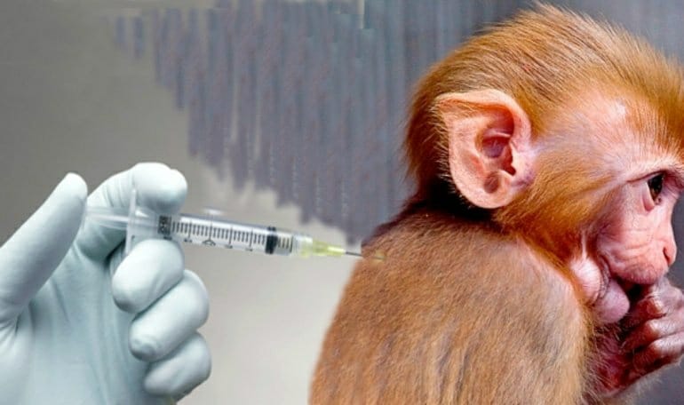 La universidad de Oxford anunci贸 que su vacuna contra el coronavirus funcion贸 exitosamente en monos