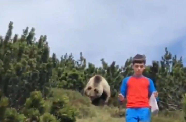 Un padre ayuda a su hijo a escapar de un oso