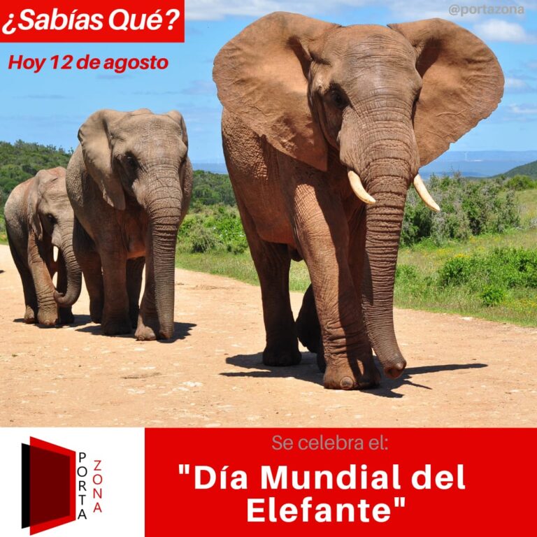 Día internacional del Elefante