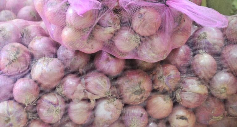 Productores de Vallejuelo agradecen intervención de Agricultura para elevar productividad de cebolla