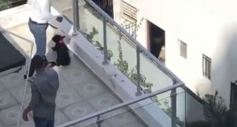 Arturo Nanita, el que pateó a la perrita “Trufa”, alega que lo hizo para proteger a su hijo