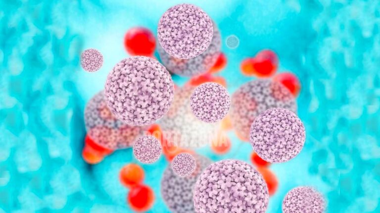 Día Internacional de Concienciación sobre el Virus del Papiloma Humano