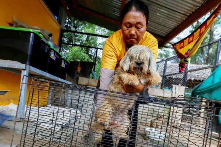 Científicos afirman que identificaron un nuevo coronavirus contagiado de perros a humanos